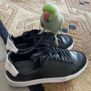 Marc Fisher on-trend Sneaker